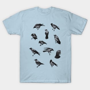 Hooded Crows T-Shirt